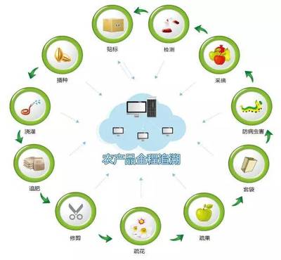 真農(nóng)觀察 農(nóng)產(chǎn)品溯源系統(tǒng)，品牌管理的基石與未來